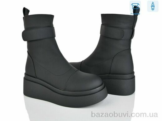 Мир 4216-D781-25, 550.00, 6, 36-40