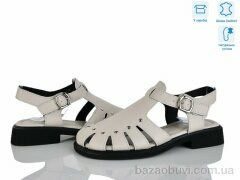 Захар-Gold T986-3, 420.00, 8, 36-41