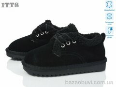 ITTS 7831, 20.00, 6, 32-37