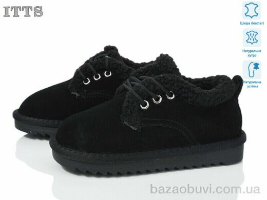 ITTS 7831, 20.00, 6, 32-37