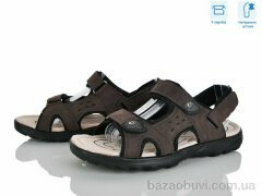 Hongquan F16-3, 670.00, 8, 41-46