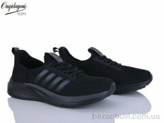 Dageni A2590-7, 580.00, 8, 41-46