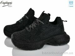 Dageni 1031-1, 28.00, 8, 36-41