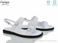 Dageni F02-2, 650.00, 8, 36-41