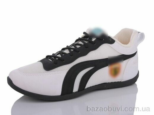 Lion SD4, 180.00, 8, 41-46