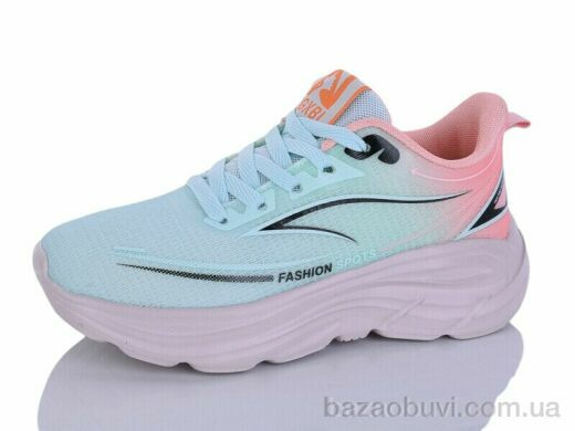 Ditof B0100-3, 11.00, 8, 36-41