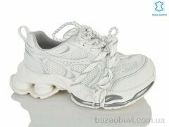 Teetspace-Trasta-Egga WDP2073-16, 38.00, 6, 36-40