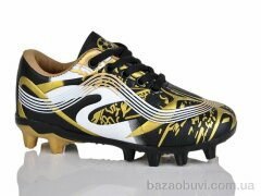 ASHIGULI C06-1, 380.00, 12, 31-36