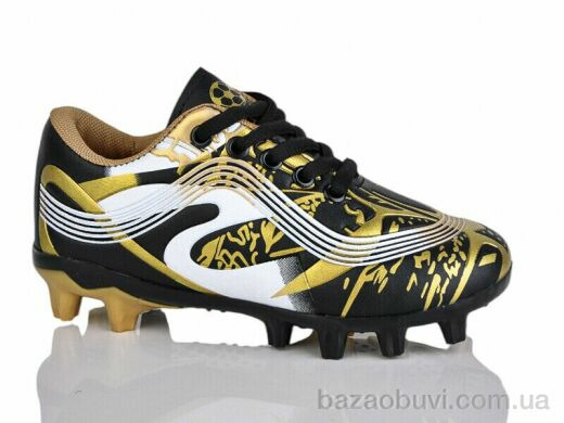 ASHIGULI C06-1, 380.00, 12, 31-36