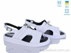 Ailinda 1371-8, 790.00, 6, 36-40