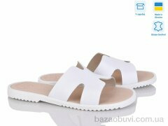 Ailinda 320-8, 520.00, 6, 36-40