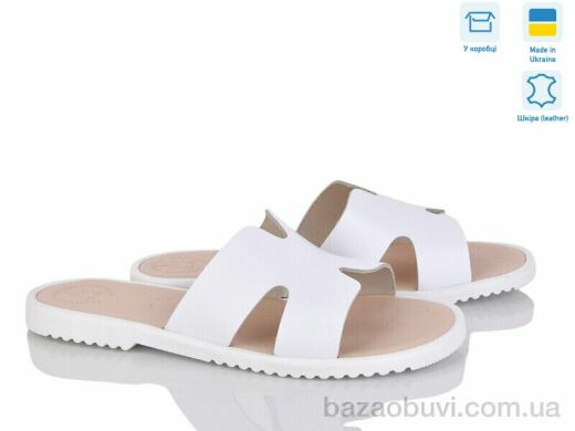 Ailinda 320-8, 520.00, 6, 36-40