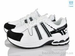 Xifa H67-4, 630.00, 8, 36-41