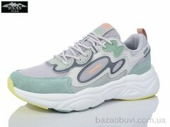 Baas L1836-7, 18.00, 8, 36-41