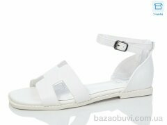 Hongquan K56-5, 490.00, 8, 36-41