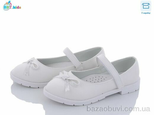 BBT P6093, 320.00, 8, 31-36