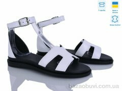 Ailinda 323-81A, 690.00, 6, 36-40