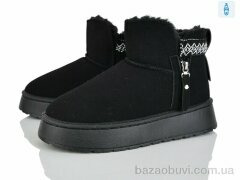 Lion-Lu CL2525, 480.00, 8, 37-42