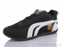 Lion SD6, 220.00, 8, 41-46
