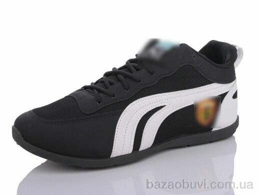 Lion SD6, 220.00, 8, 41-46