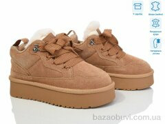 Violeta M6131-3 camel, 950.00, 8, 36-40