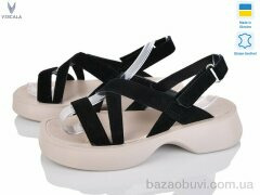 Viscala 23938-176 ч.з., 660.00, 8, 36-40