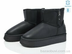 YiYi B36-1, 400.00, 8, 36-41