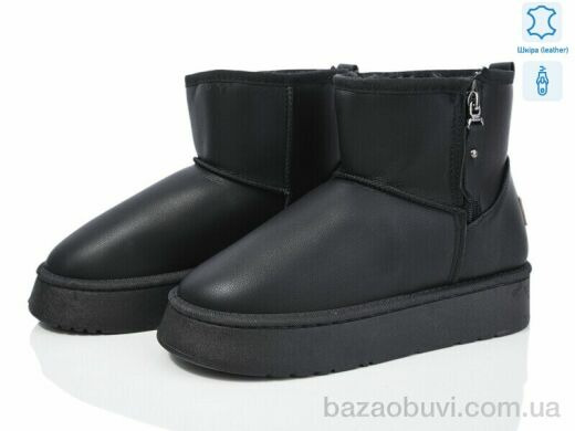 YiYi B36-1, 400.00, 8, 36-41