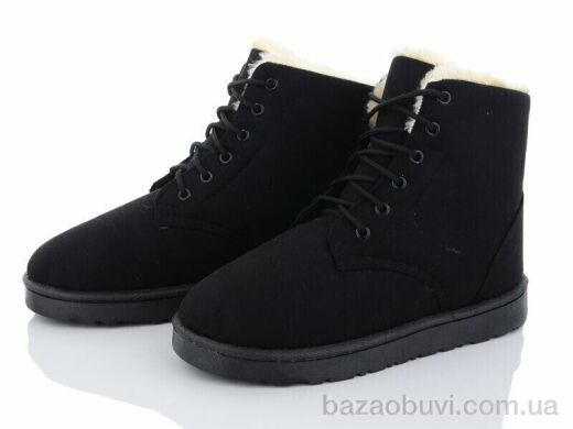 Lion CR2301, 350.00, 8, 36-41