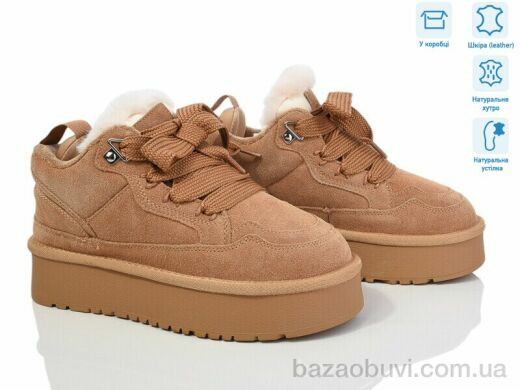 Violeta M6131-3 camel, 900.00, 8, 36-40