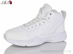 Aba 4013-1, 300.00, 8, 36-41