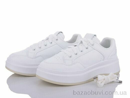 Baolikang B1-2, 370.00, 8, 36-41