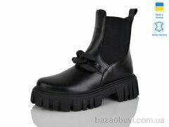 Carolina AP141-1, 650.00, 6, 36-40