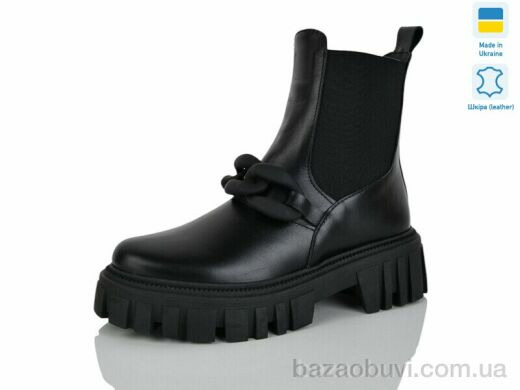 Carolina AP141-1, 650.00, 6, 36-40