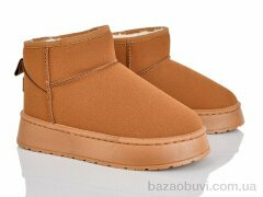 Lion-Lu CL2507, 480.00, 8, 37-42