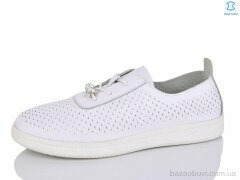Canoa P802, 480.00, 8, 36-41