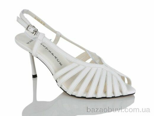 Teetspace-Trasta-Egga LL1975-26, 26.00, 6, 36-40