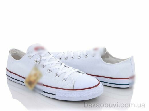 Violeta Y131(A6) all white, 450.00, 8, 40-45