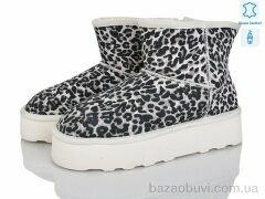 Мир 4224-5854 shell, 600.00, 6, 36-41