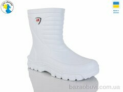 Jose Amorales 125154-47A, 8.00, 6, 42-47