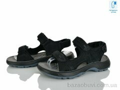 KIMBOO T65-4A, 580.00, 8, 37-41