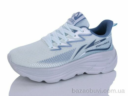 Ditof B0093-2, 11.00, 8, 36-41