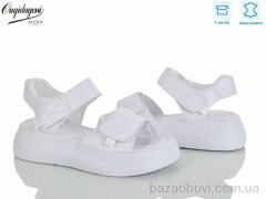 Dageni F228-2, 700.00, 8, 36-41