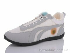 Lion SD8, 220.00, 8, 41-46