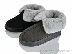 Lion-Lu JNG21 (24) mix, 360.00, 24, 42-47