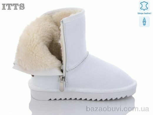 ITTS 7808-9, 600.00, 6, 31-36
