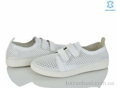 Canoa P803, 400.00, 8, 36-41