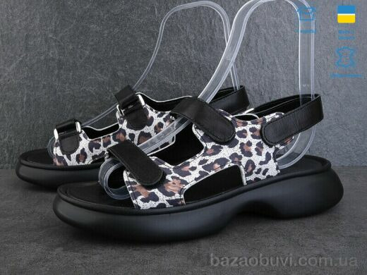 Ailinda 854-112, 480.00, 6, 36-40