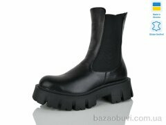 Carolina AP145-1, 650.00, 6, 36-40