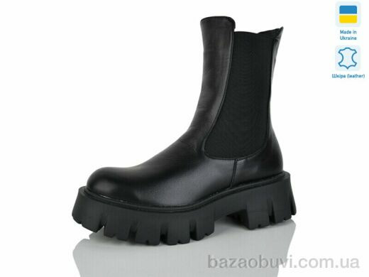 Carolina AP145-1, 650.00, 6, 36-40